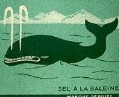aigle
