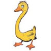 aigle