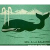 aigle