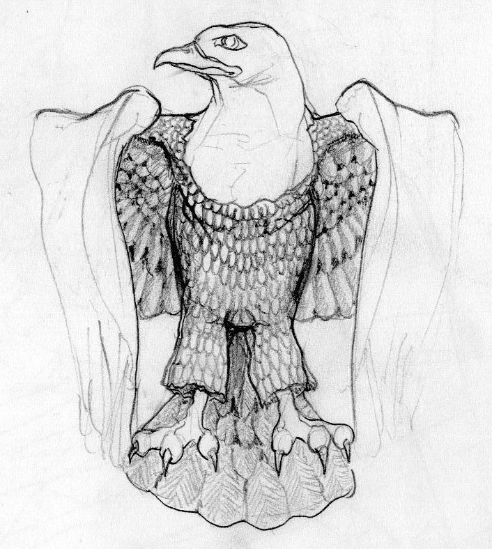 aigle