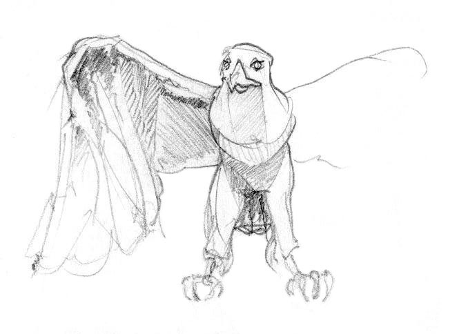 aigle