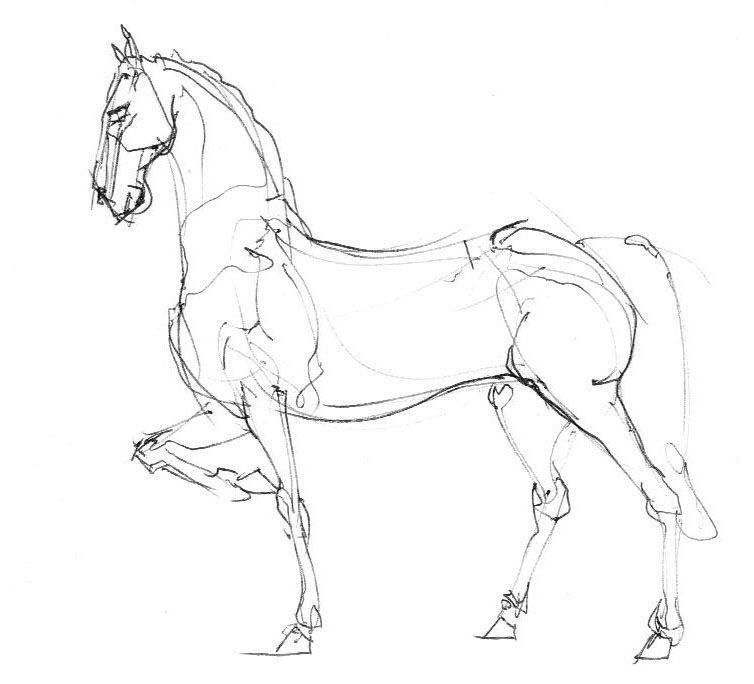 cheval