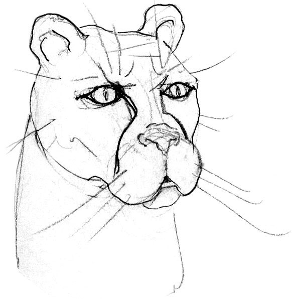 flin