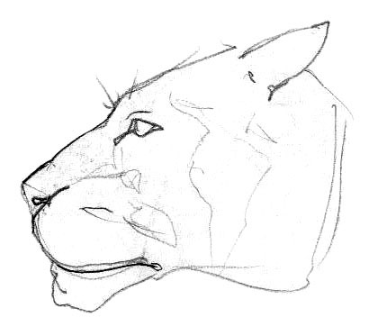 flin