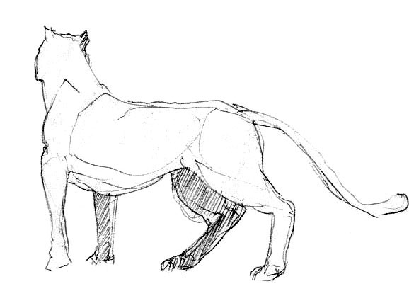 flin