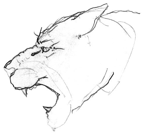 flin