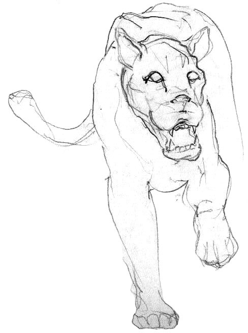 flin