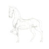 cheval