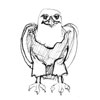 aigle