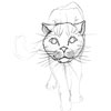 flin