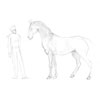 cheval