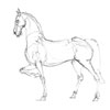 cheval