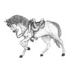 cheval