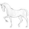 cheval