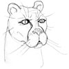 flin