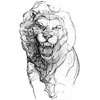 flin