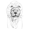 flin