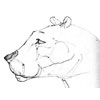 flin