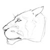 flin