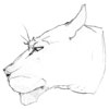 flin