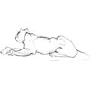 flin
