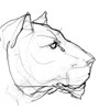flin