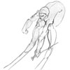 skieur1