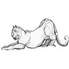 flin