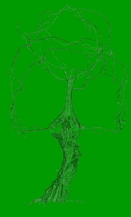 arbre