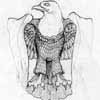 aigle