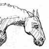 cheval